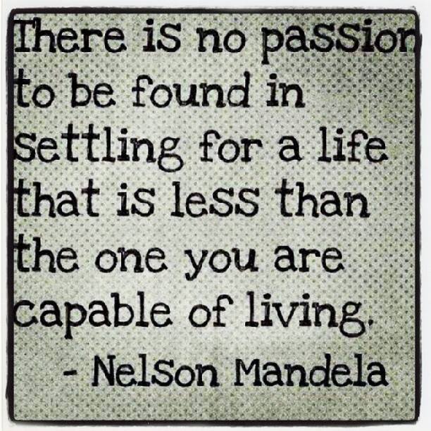 10366211_1436608826588382_1475177780929104193_n